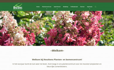 neutkens-planten.nl screenshot