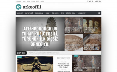 arkeofili.com screenshot