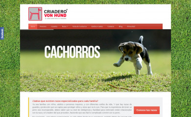 criaderovonhund.com screenshot
