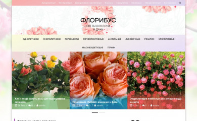 floribus.ru screenshot