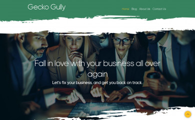 geckogullywebsites.com screenshot