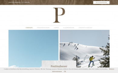 paulingbauer.at screenshot