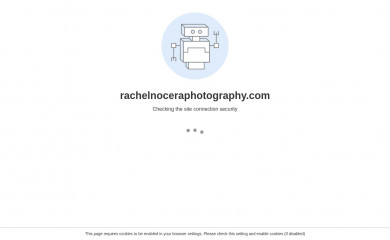 rachelnoceraphotography.com screenshot